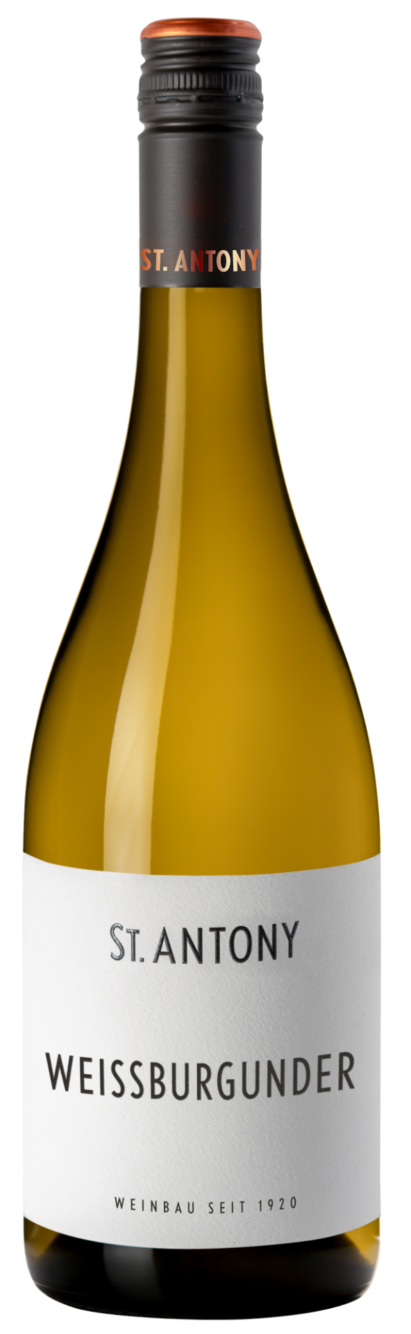 2026 Weißburgunder
