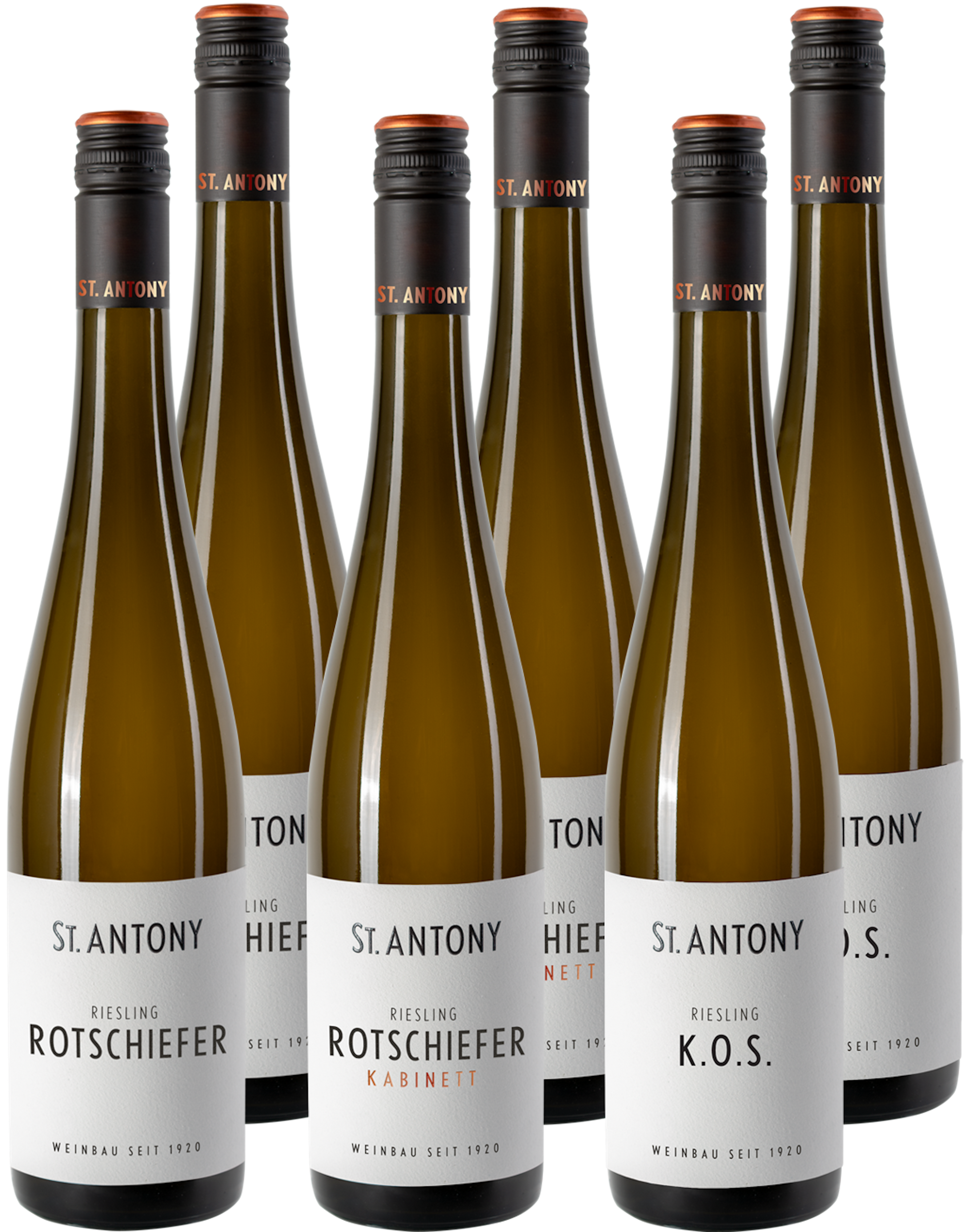 Riesling Paket