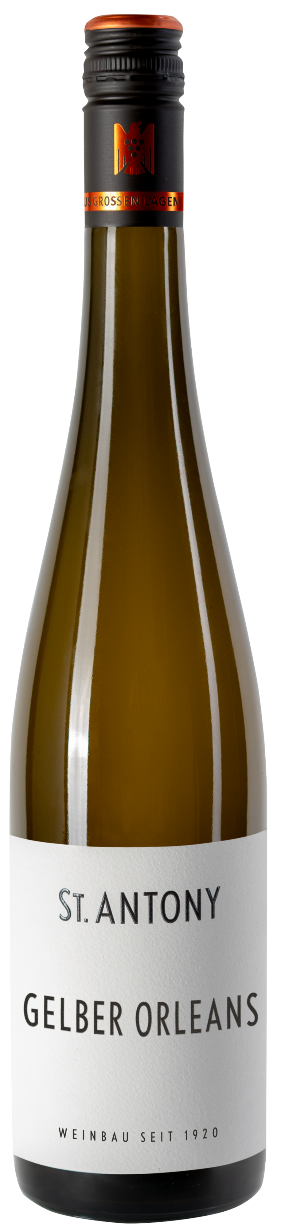 Gelber Orleans